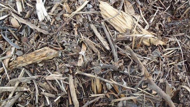 Need wood chips? Pick them up at the Chelan Transfer Station